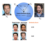 Convolutional Neural Networks and Metric Learning for Facial Verification